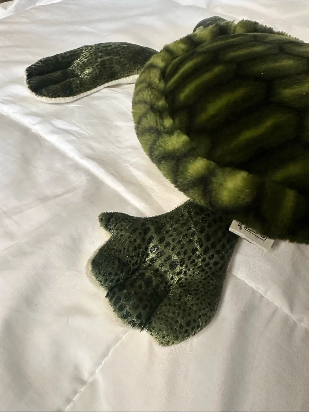 Fiesta Green Sea Turtle Plush Stuffed Animal Toy (#Y40883)